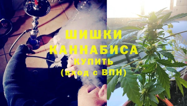 соль ск Алзамай